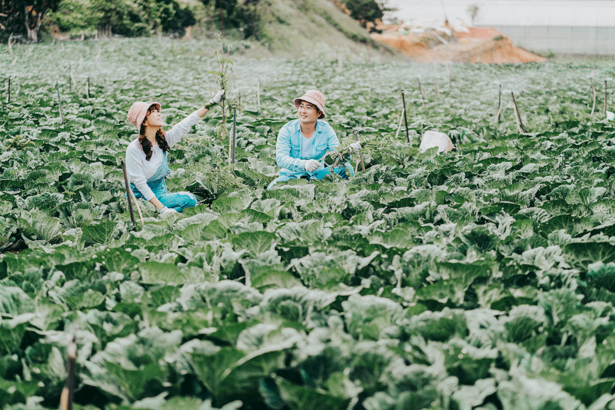 Ảnh CƯỚI ĐẸP Đà Lạt - October