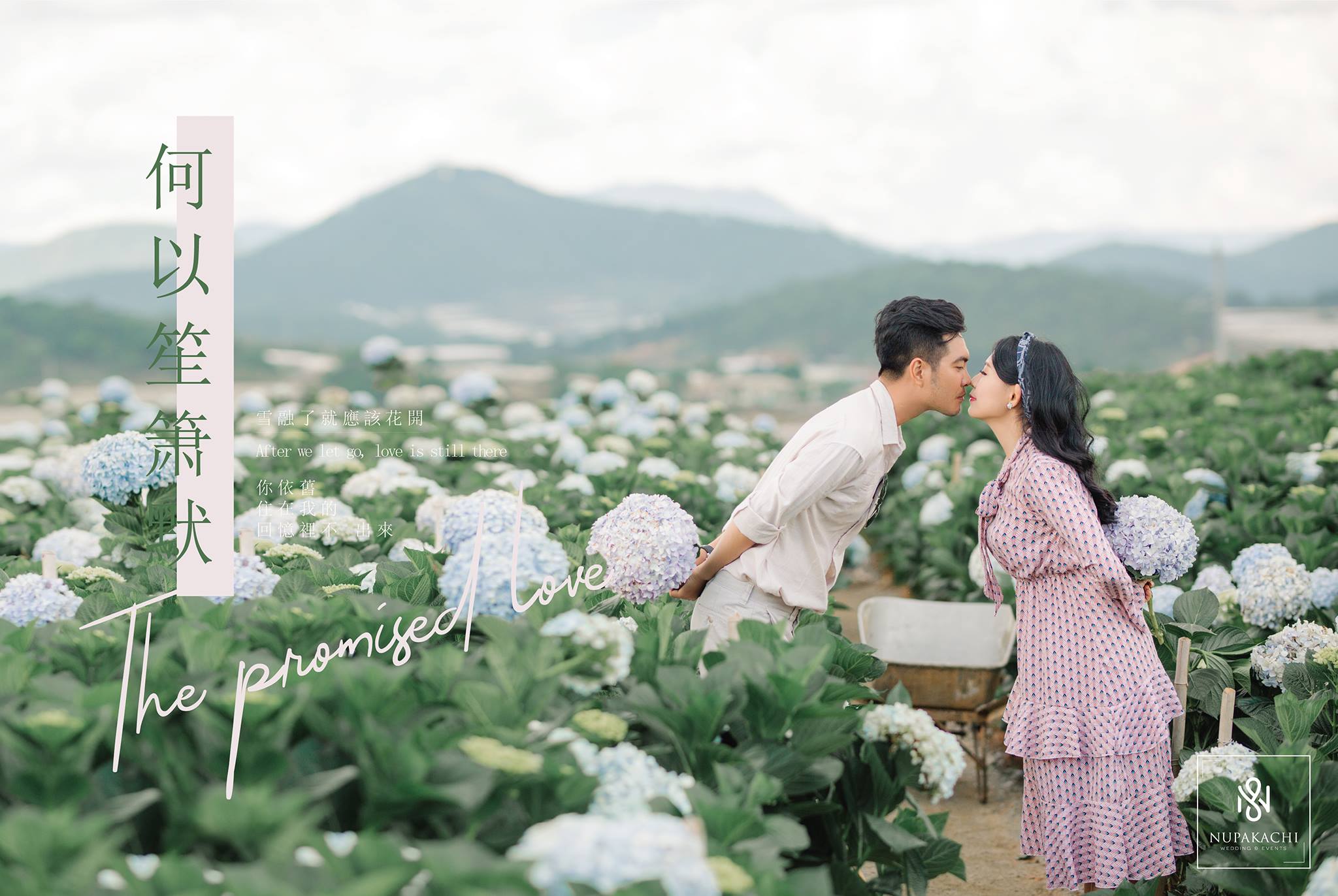 Ảnh Cưới Đẹp Đà Lạt 2019 - Nupakachi Wedding 