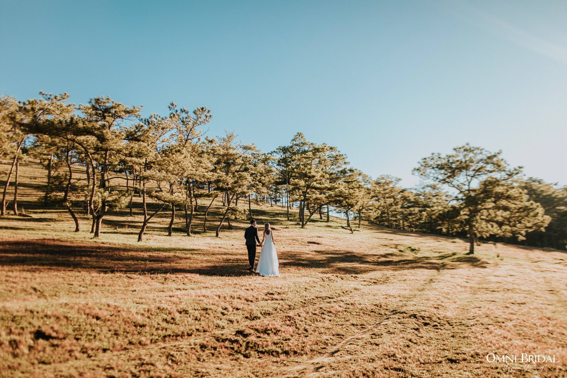 Ảnh Cưới Đẹp Đà Lạt - Omni Bridal 