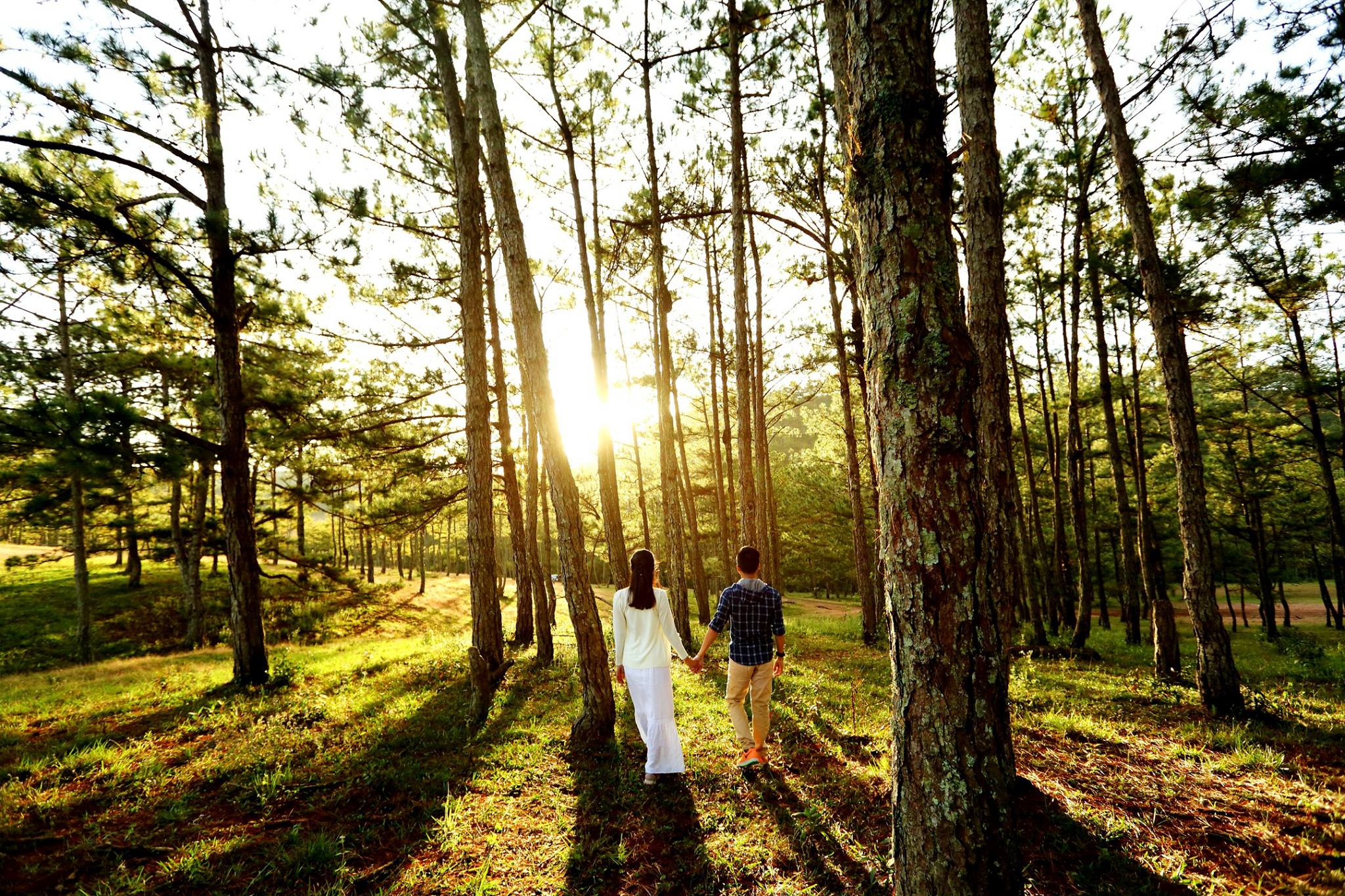 Couple Đà Lạt