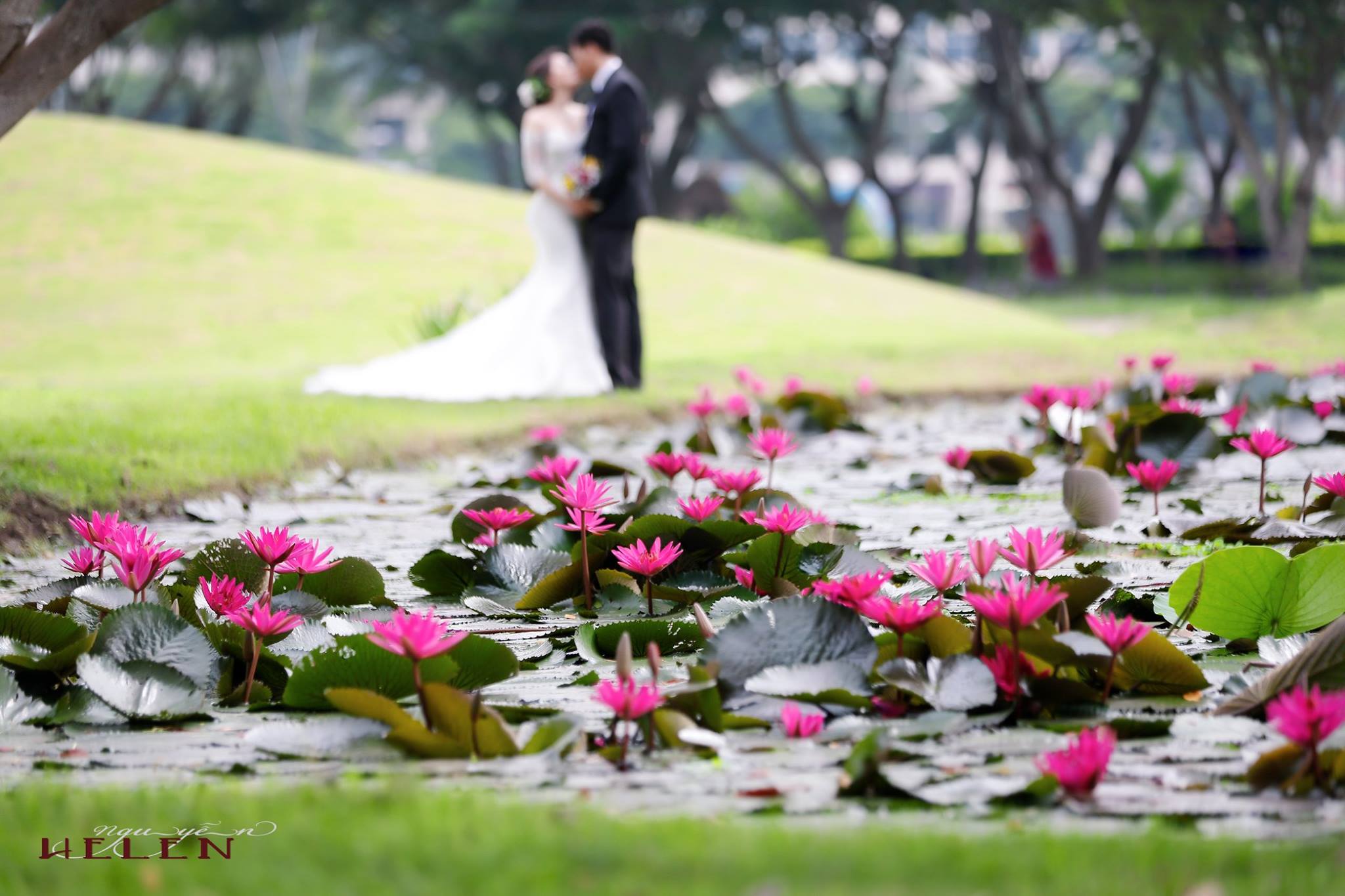 Khi hai ta về chung một nhà