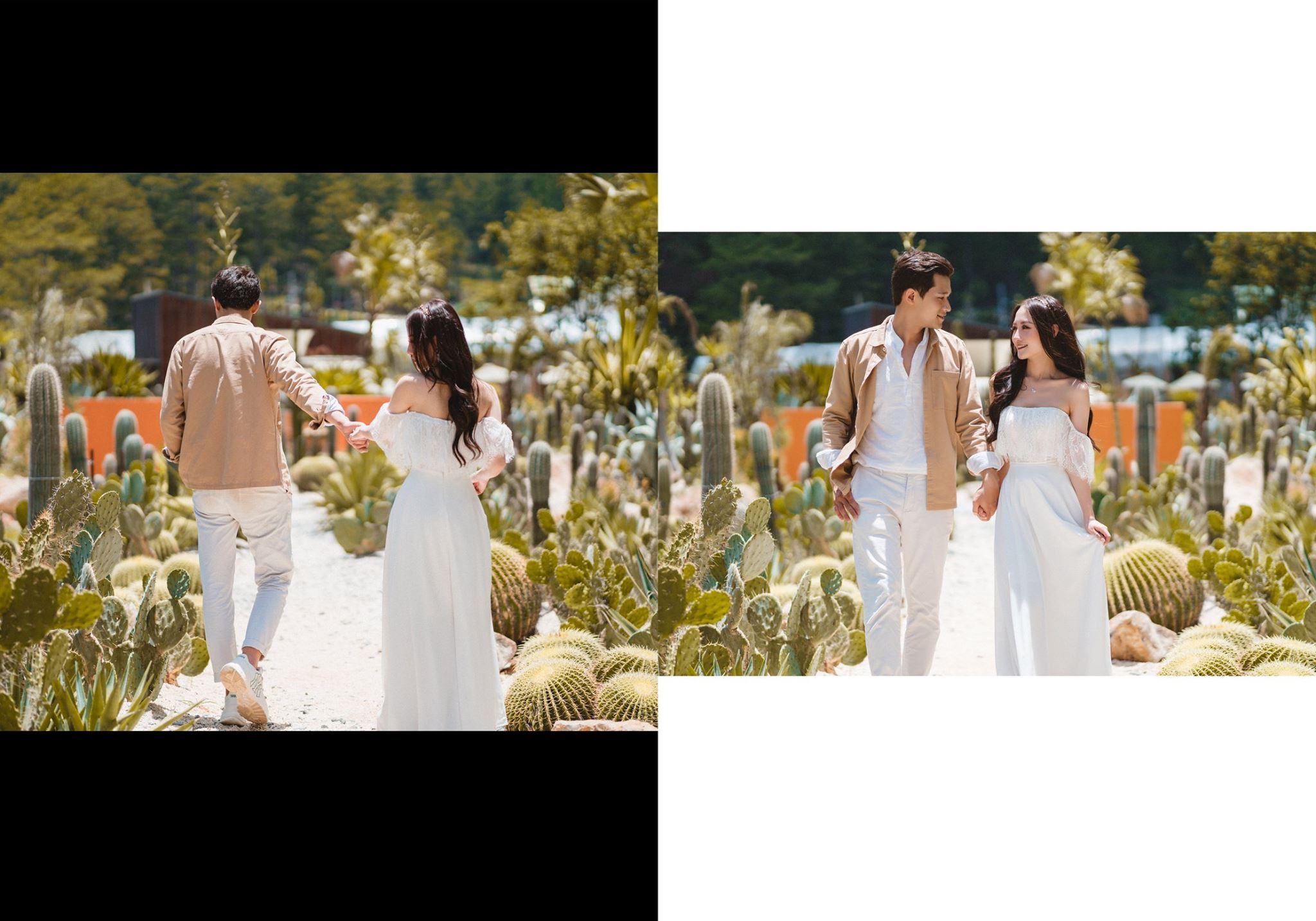 Wedding album Tyn - Phượng