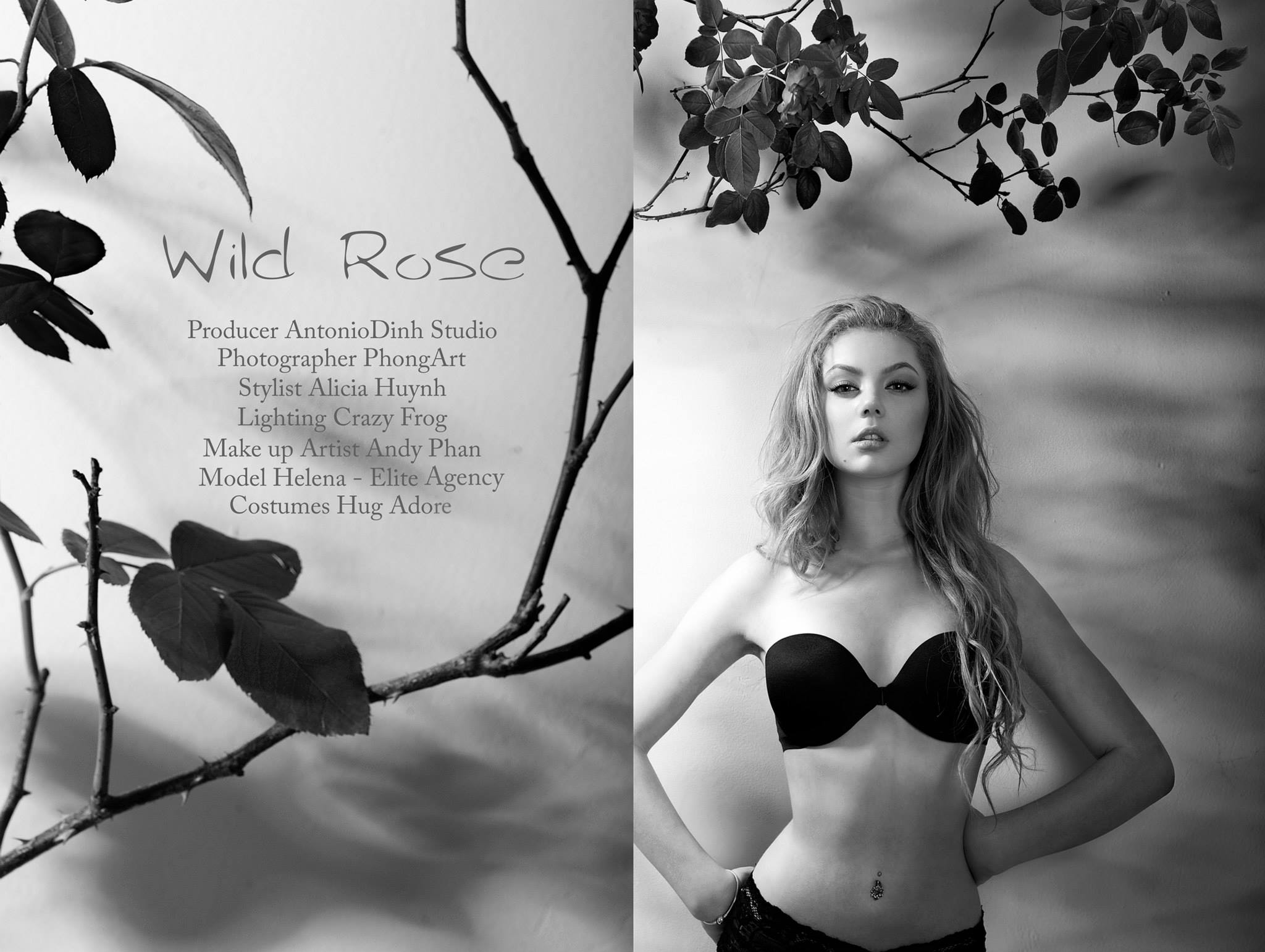 Wild Rose