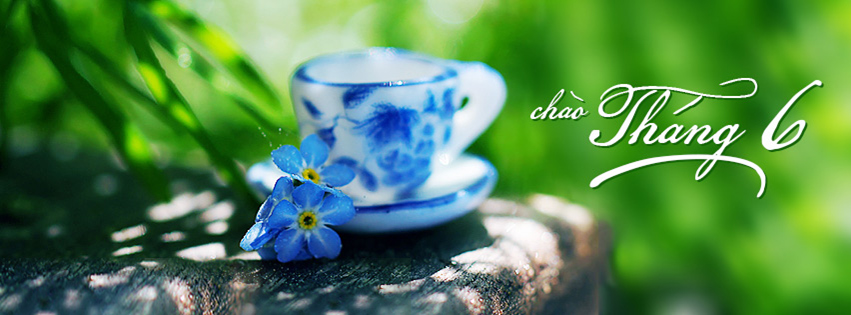 Shop cho thuê áo cưới giá rẻ