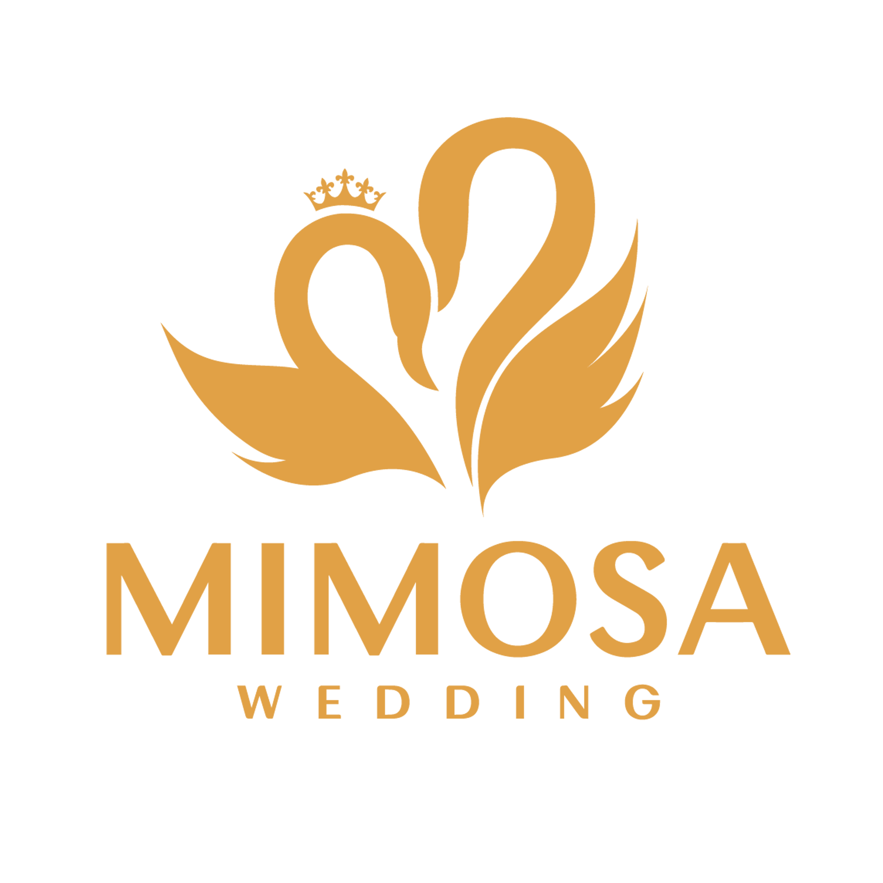 Mimosa Wedding